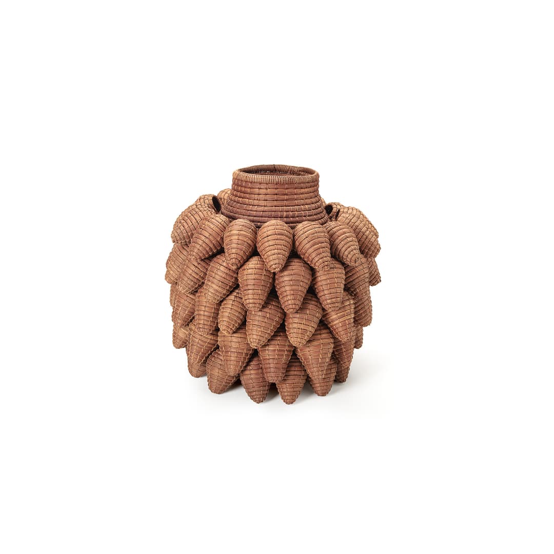 Maria Cláudia Dias Campos 