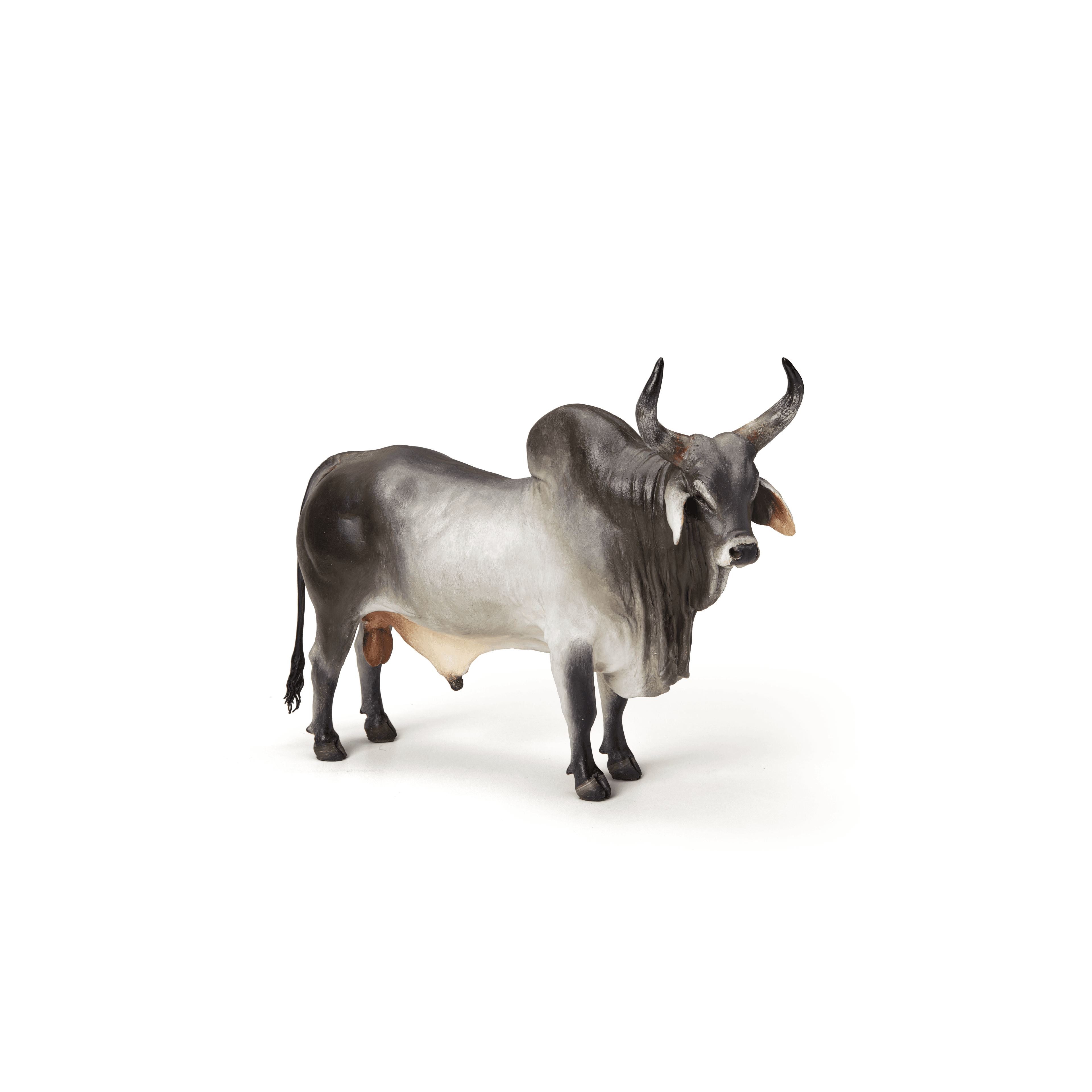Carmelito Miniaturas Bovinas