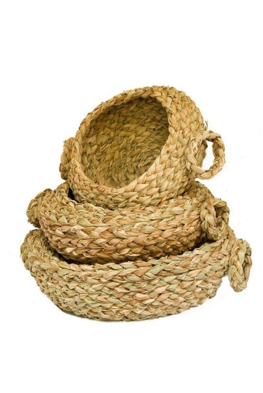 Mestra Cleide toledo