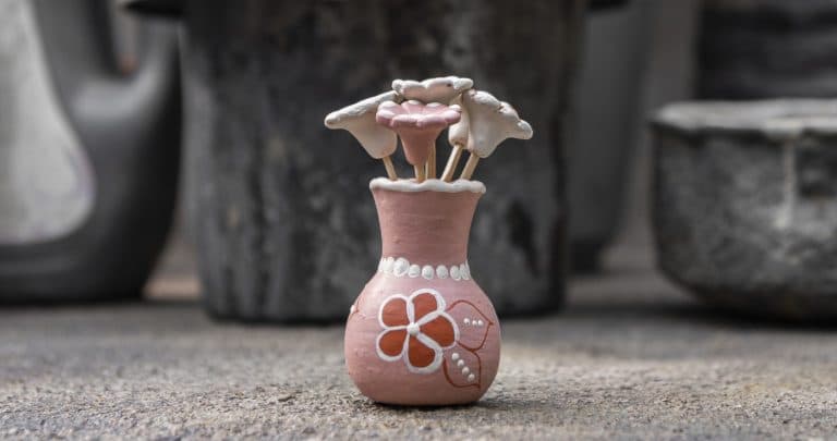 Anísia Lima de Sousa