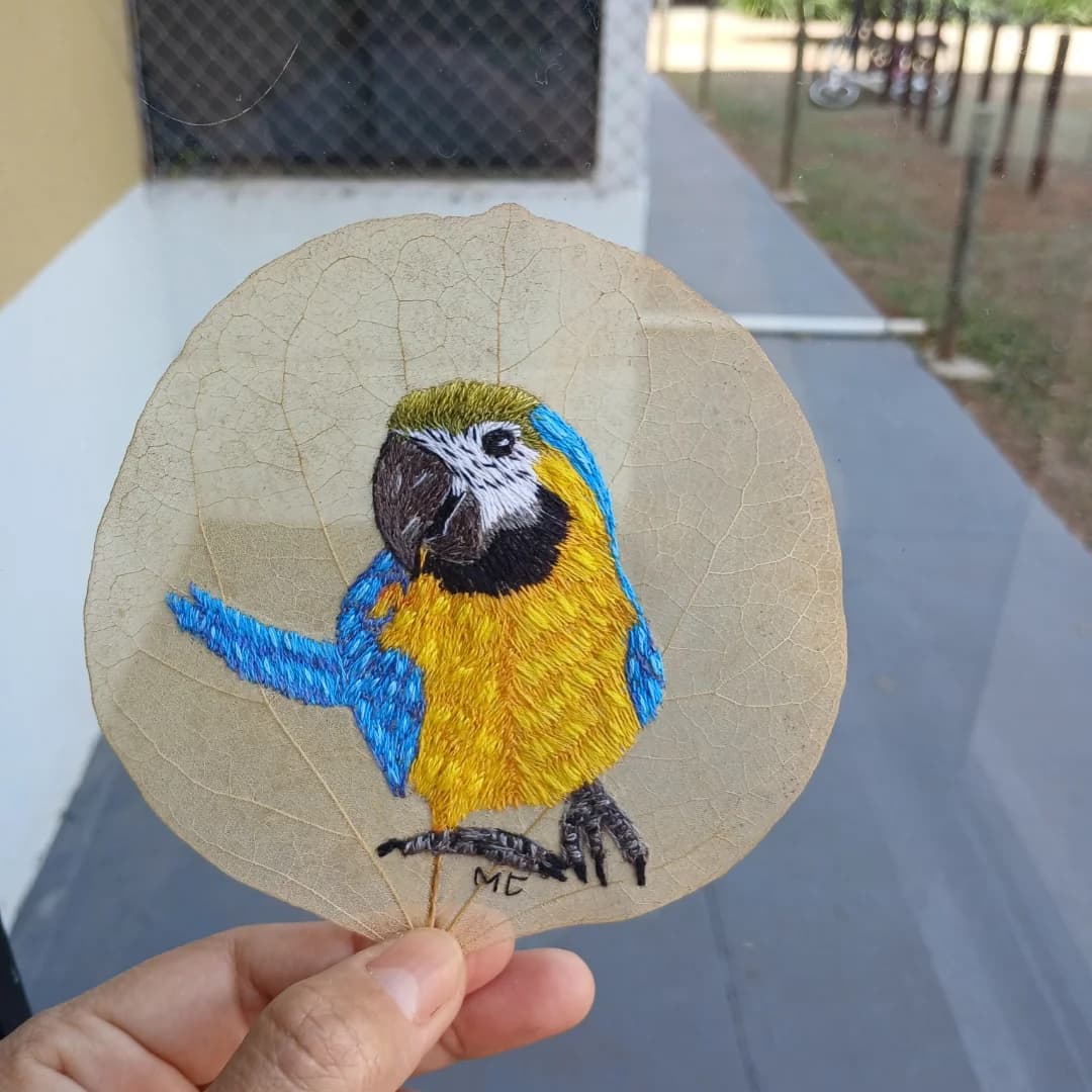 Marcelina Carvalho Pereira