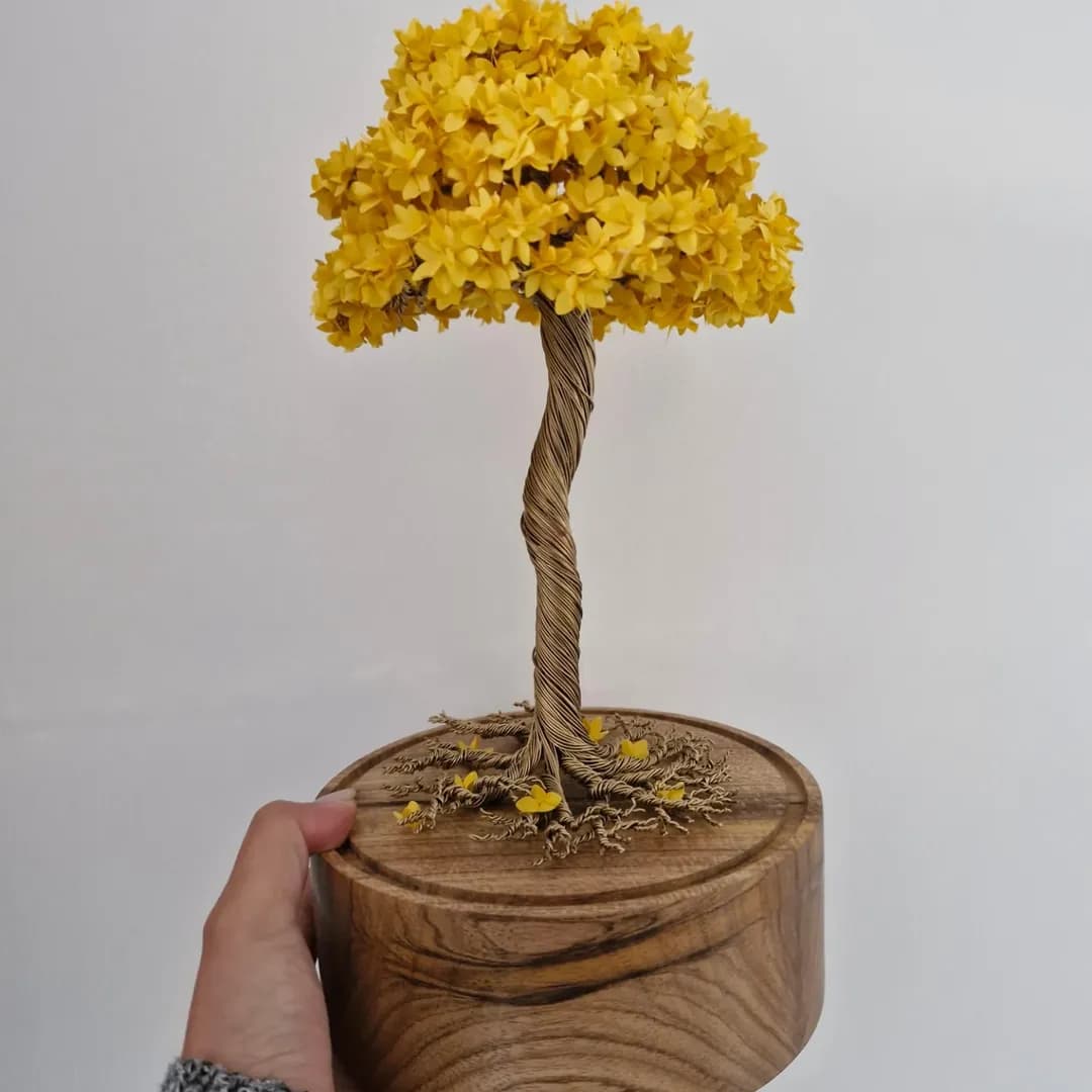 Priscila Tiemi Okata