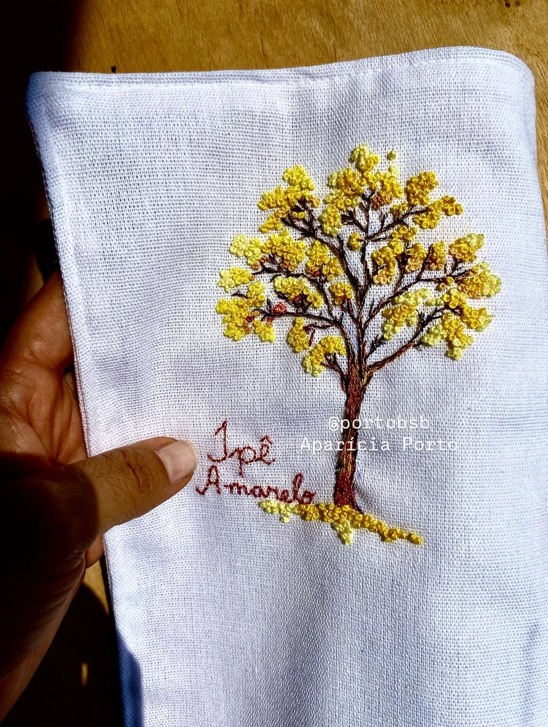 Aparicia Porto Noleto Setubal