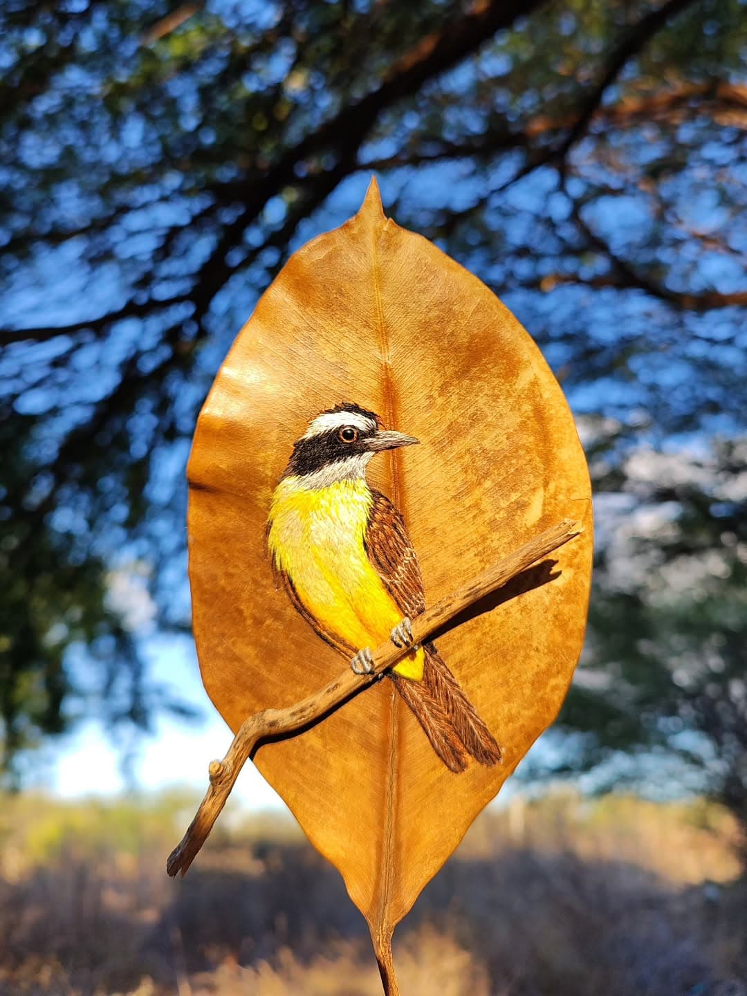 Bianca Barbosa Santana Nascimento