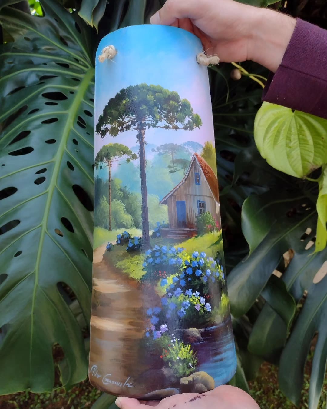 Pedro fernando czarneski