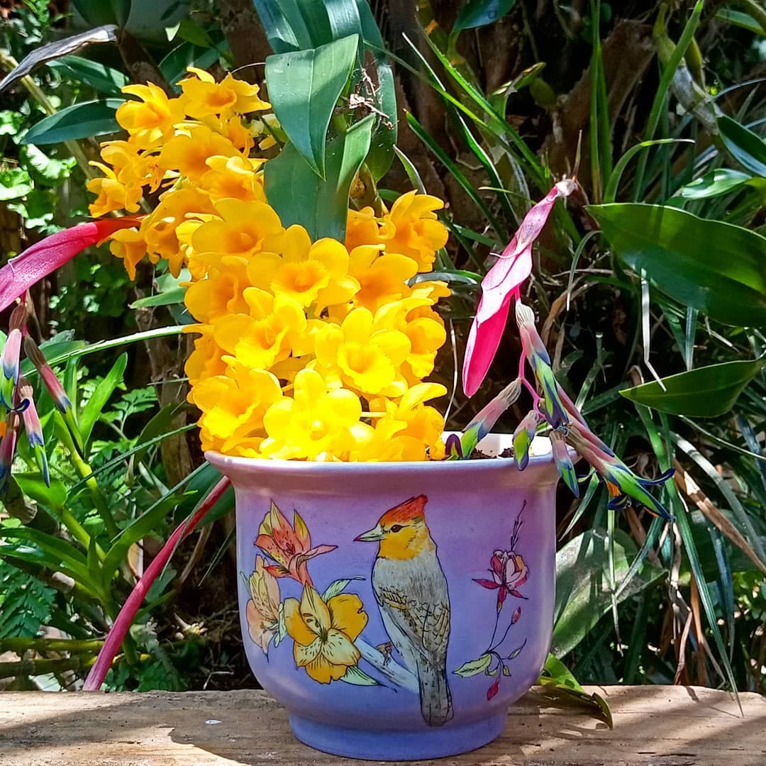 Taylana ribeiro de souza