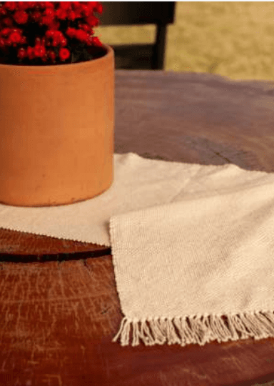 Caroline Diana dos Santos Mocelin