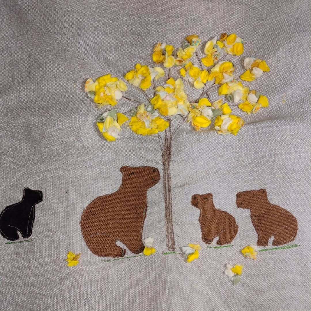 Thiane Arantes de Azambuja