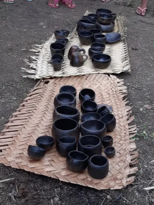 Associação das Guerreiras Indígenas de Rondônia