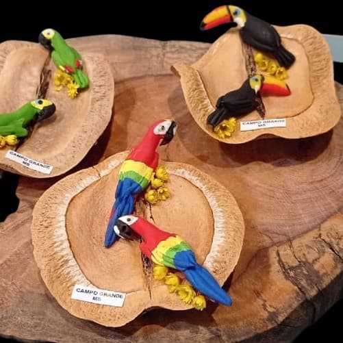 União Estadual dos Artesãos de Mato Grosso do Sul