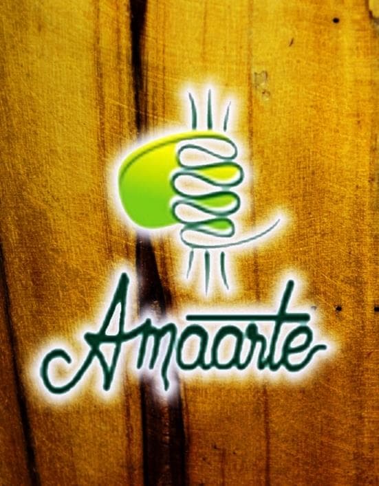 Associação Macapaense de Artesãos e Artistas