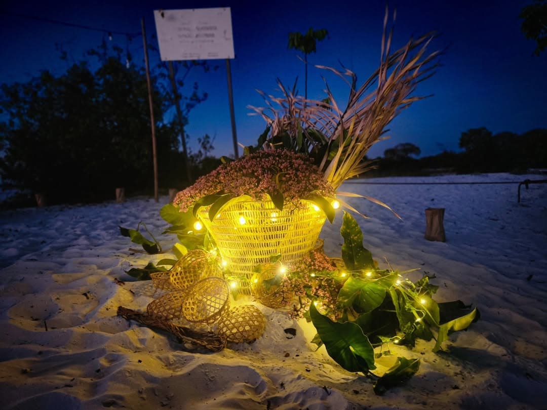 Cooperativa de Turismo e Artesanato da Floresta