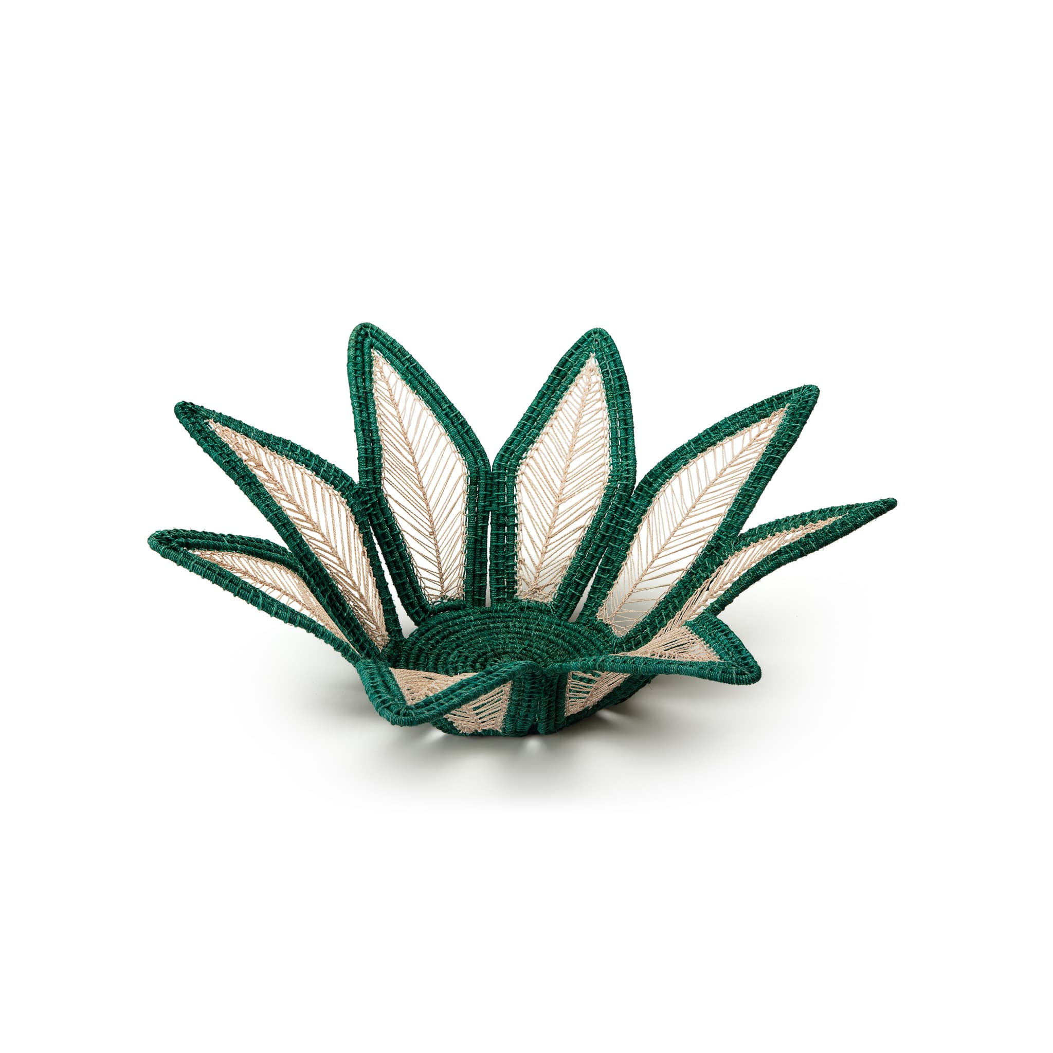 Associação dos Artesãos Indígenas 