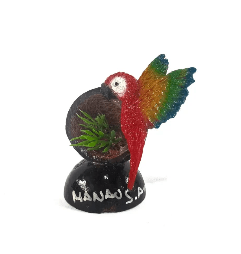 Amazônia & Sintonia
