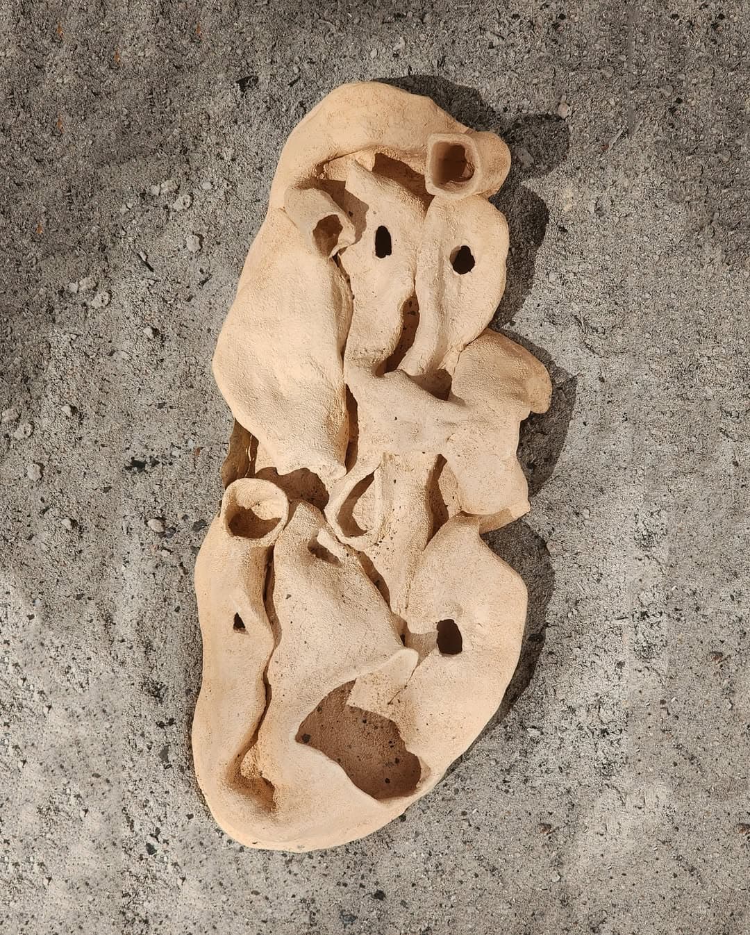 Casa arte plena