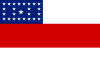 Bandeira do Amazonas