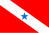 Bandeira do Pará