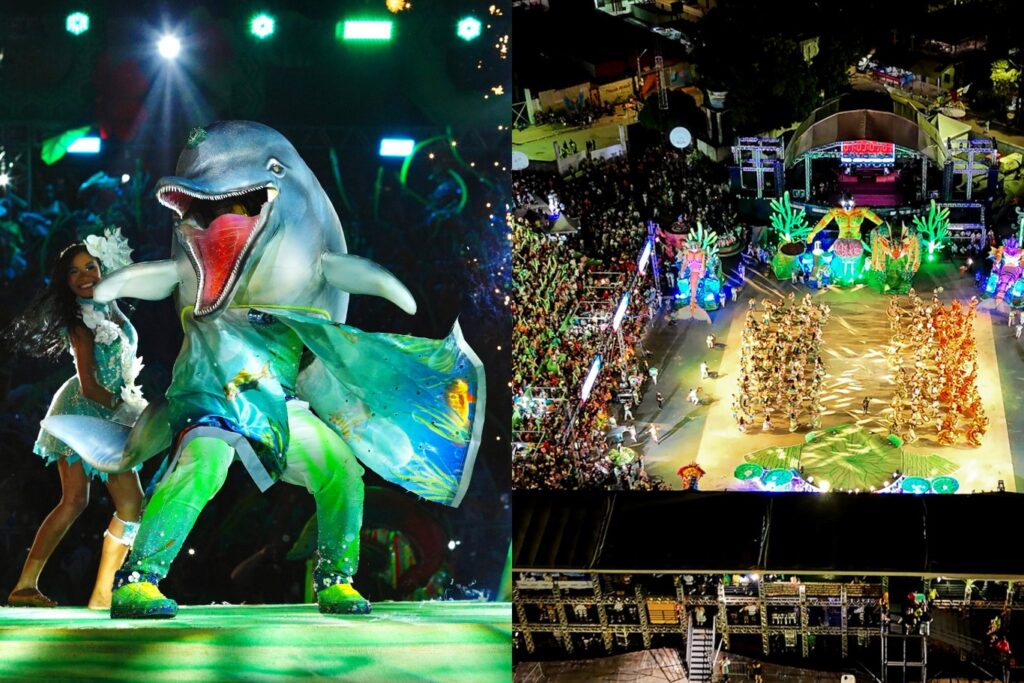 Festival dos Botos